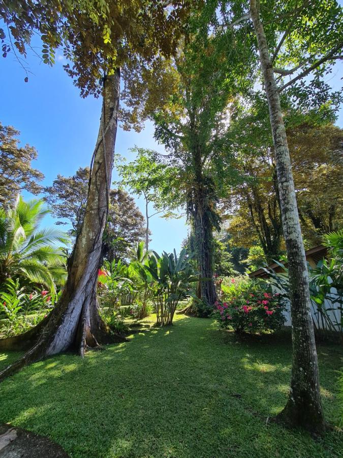 La Rana De Cahuita Villa ภายนอก รูปภาพ