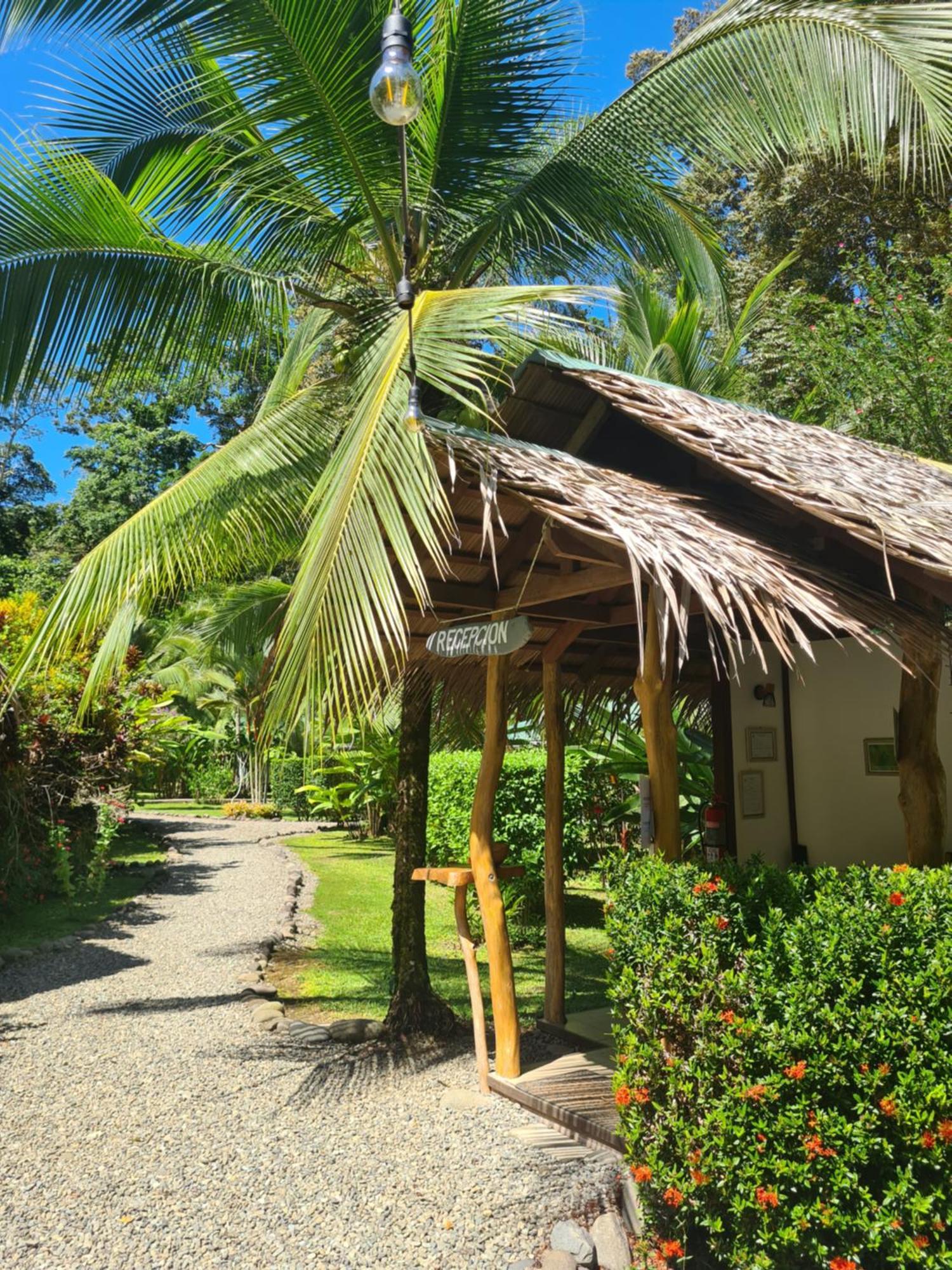 La Rana De Cahuita Villa ภายนอก รูปภาพ